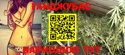 индика Аргун