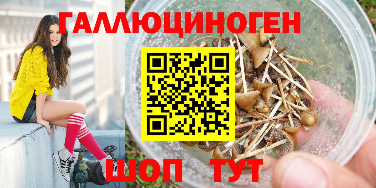Галлюциногенные грибы Cubensis  Вход с VPN  Аша  Галлюциногенные грибы ЛСД 